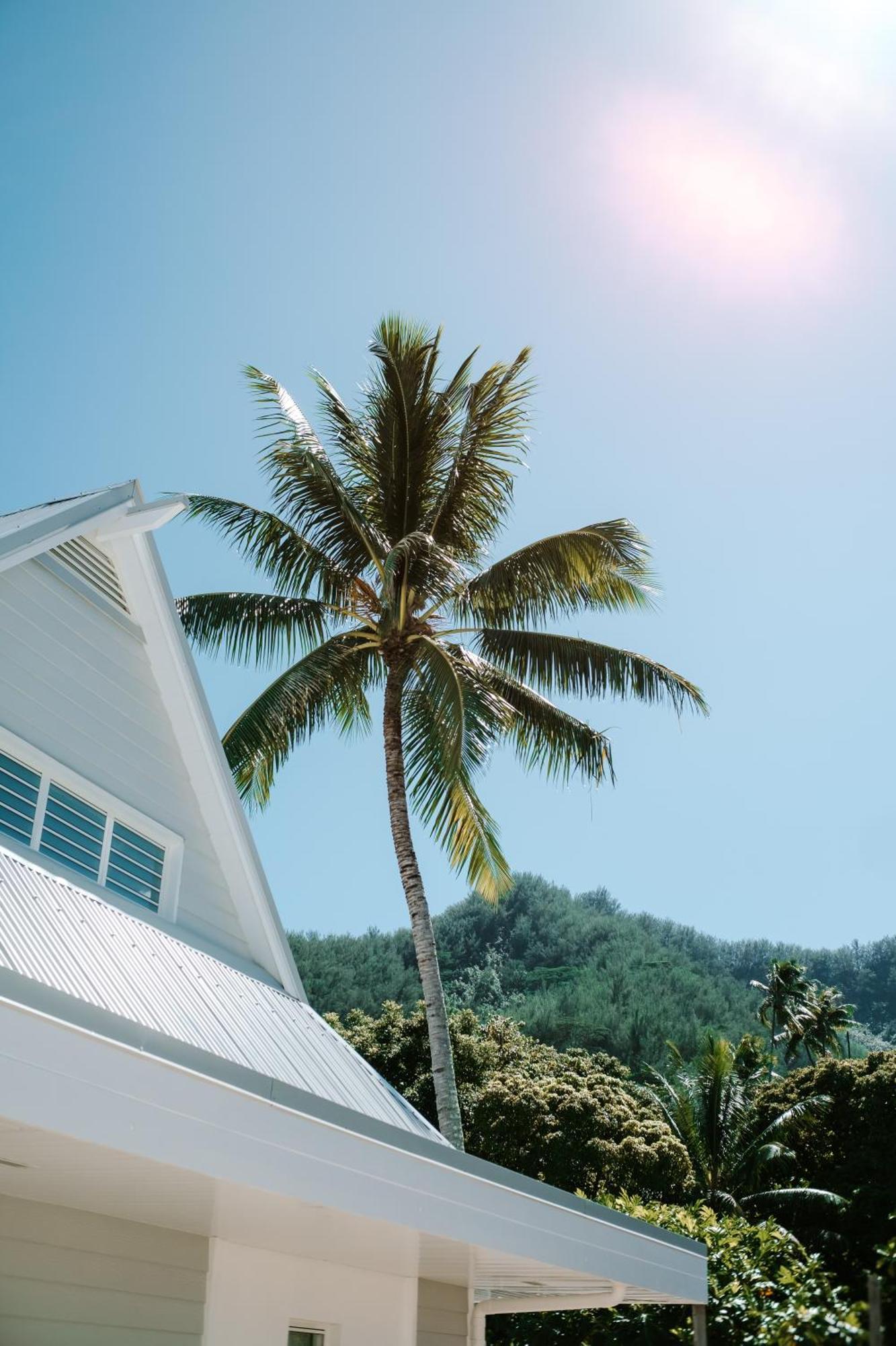 Niu Beach Hotel 莫雷阿 外观 照片